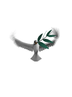 фоны для самсунга, голуб мира с лавровым листом (Bird 1)