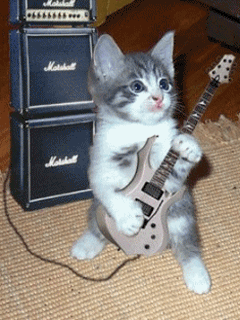 анимированные телефонный иконки, кот - гитарист на своем первом выступлении, сорвал настоящий фурор (Cat And Gitar)