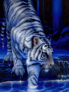 обои для сони, тигр переходит речку в брод (Tiger 1)