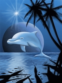 GIF animated phone theme, дельфин в море (Dolphin 1)